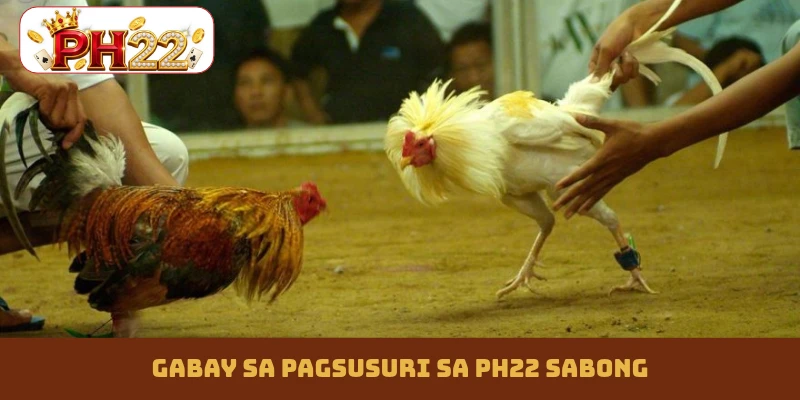 Gabay sa pagsusuri sa PH22 sabong