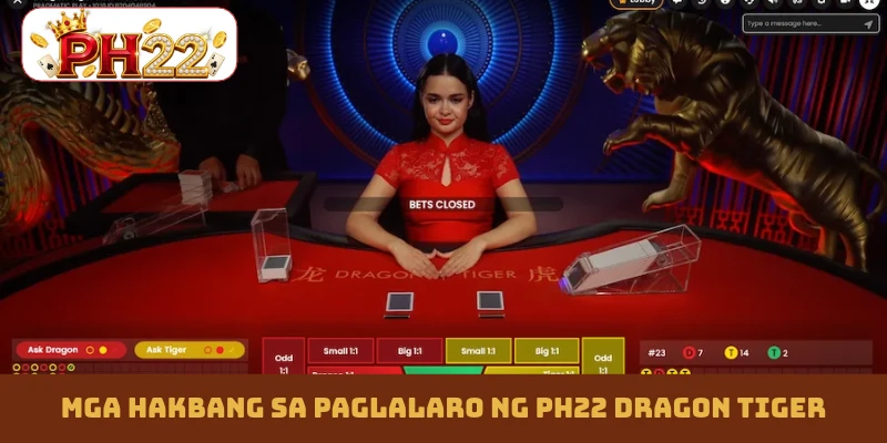 Mga hakbang sa paglalaro ng PH22 Dragon Tiger