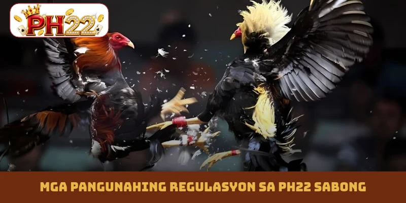 Mga pangunahing regulasyon sa PH22 sabong