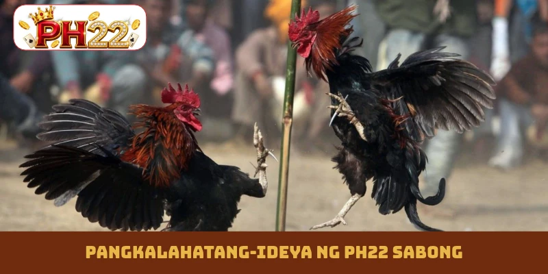 Pangkalahatang-ideya ng PH22 sabong